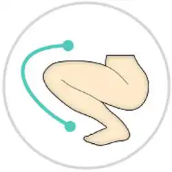 Double Joint Skeleton